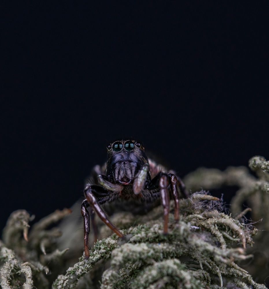 Photograph by Павел Овечкин