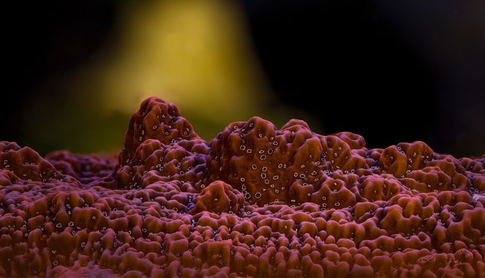 Photograph by Армен Майтесян