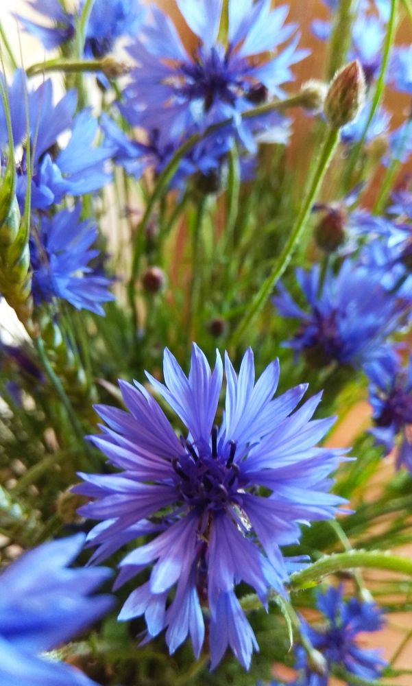 Photograph by Vadim Arutyunov