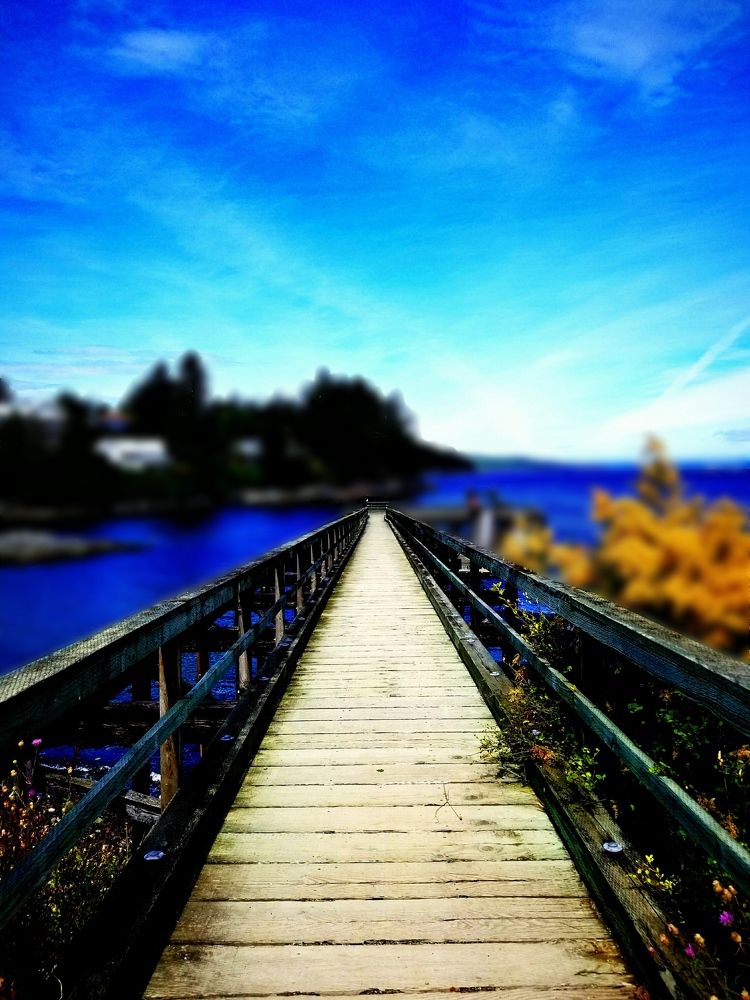 Photograph by Nikki May