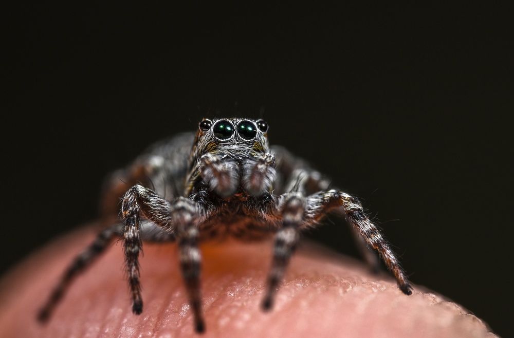 Photograph by Павел Овечкин