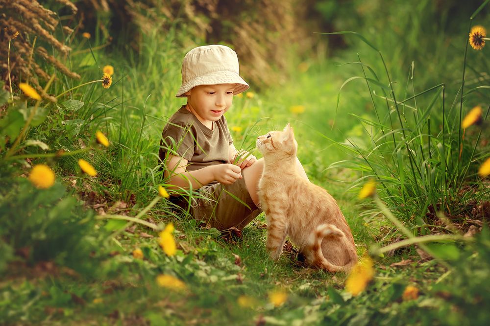 Photograph by Iryna Petrenko