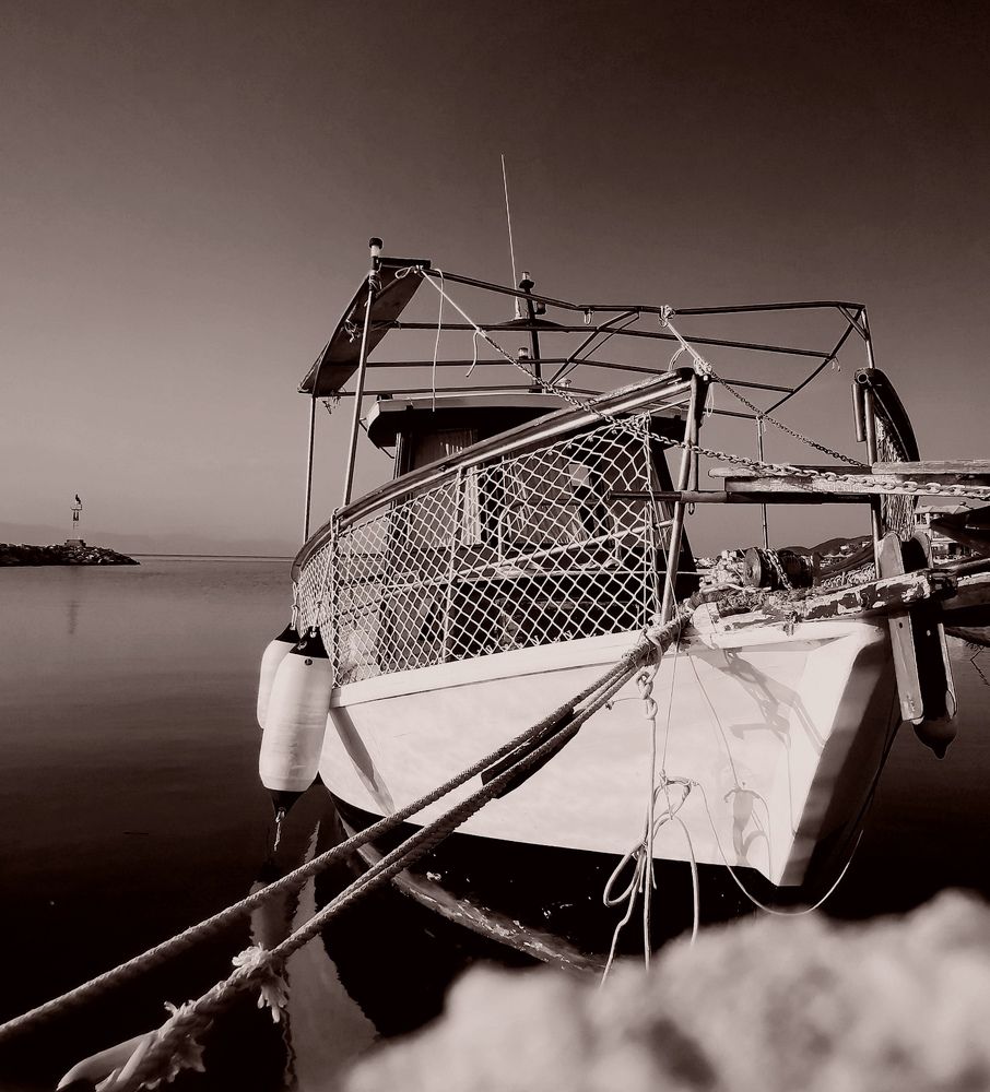 Photograph by Dragan Trosic