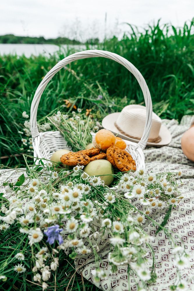 Фотография автора Александра Глускер