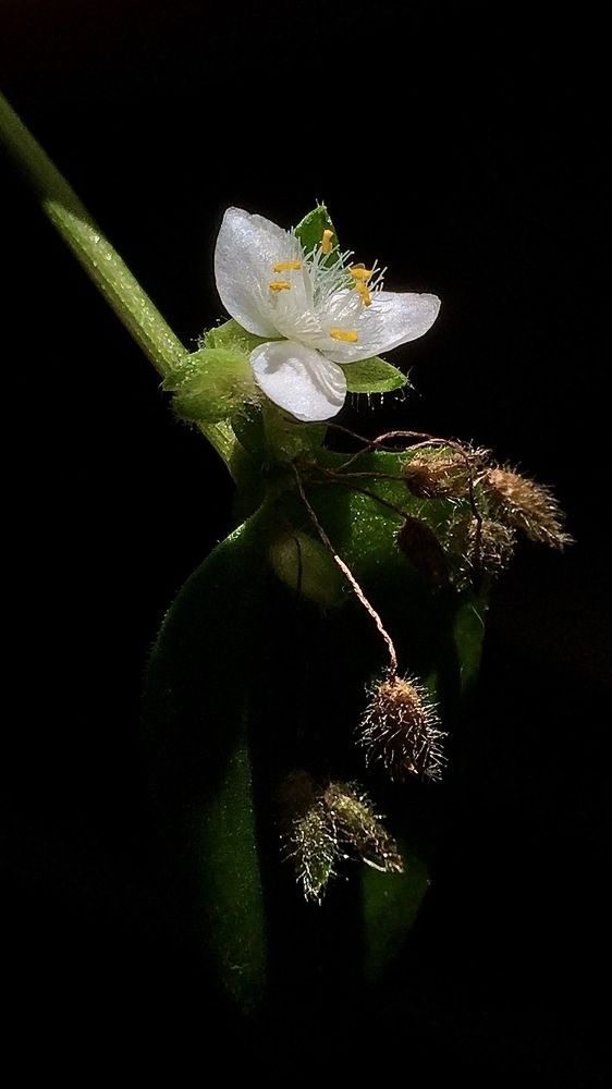 Photograph by Михаил Ершов