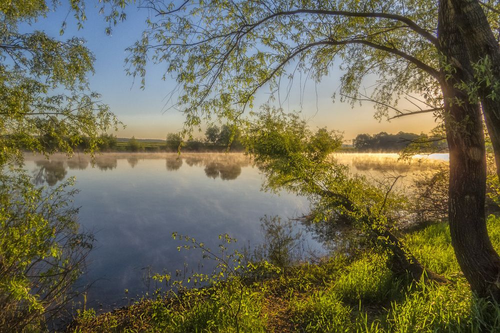 Утро на Дону
