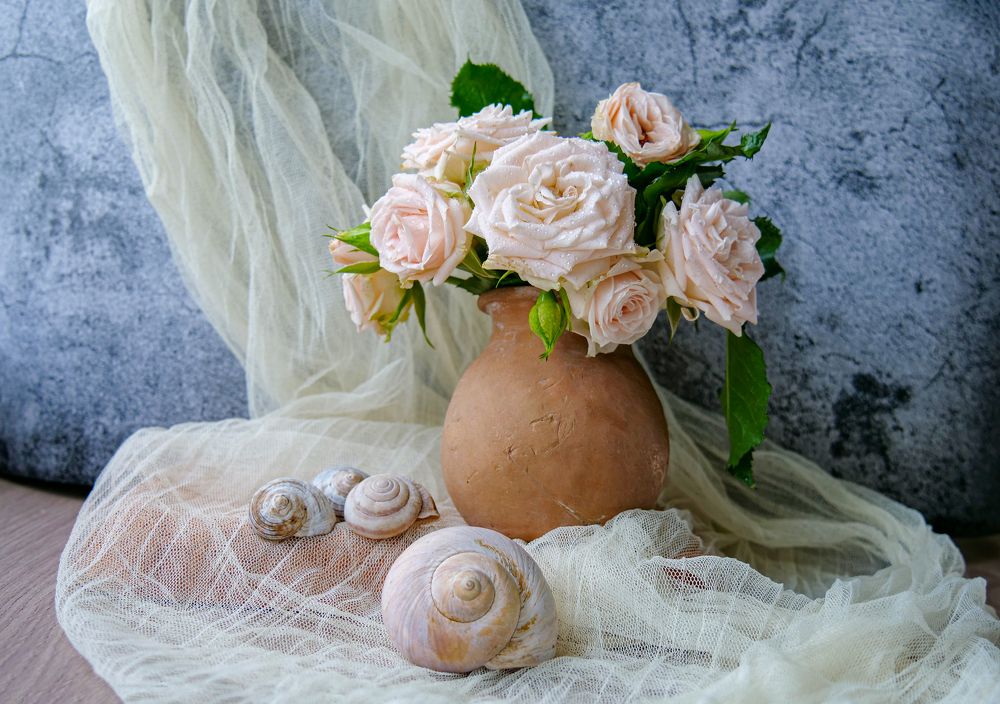 Photograph by Наталья Заровнева