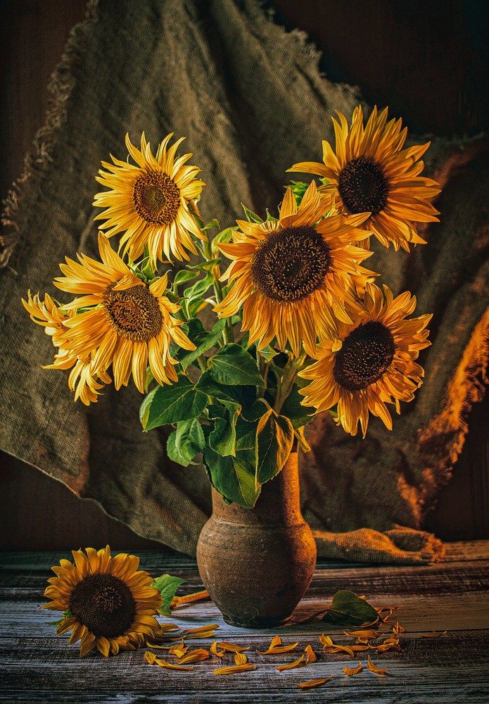 Photograph by Наталья Исиченко