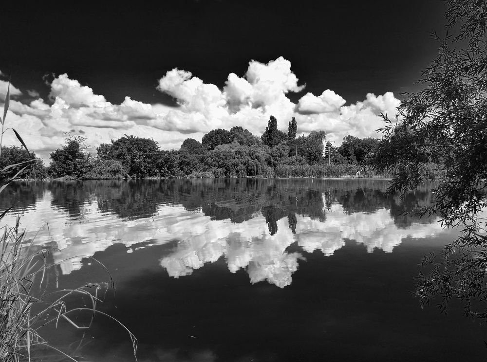 Лето в деревне