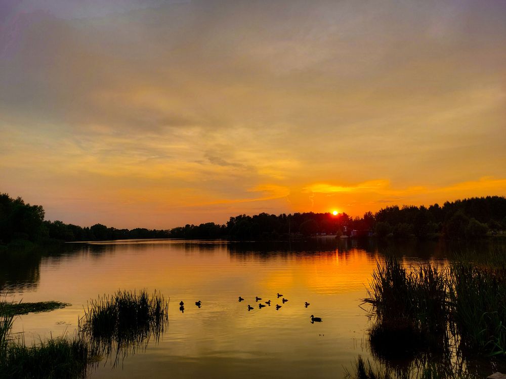 Photograph by Елена Жеребцова