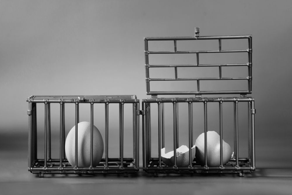 Photograph by Ангела Честнова