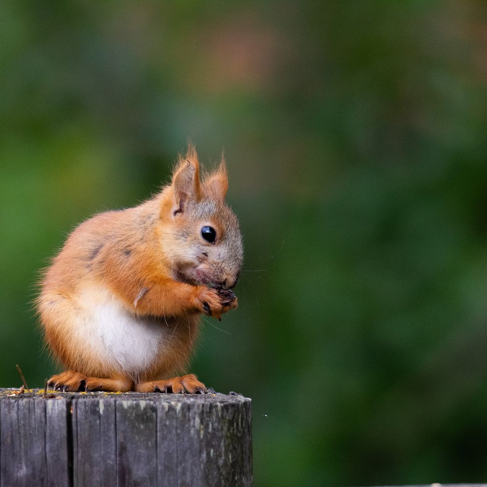 Photograph by Denis Schetinin