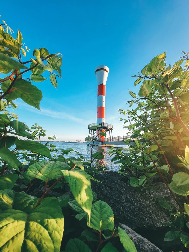 Фотография автора Cozma Mihaela