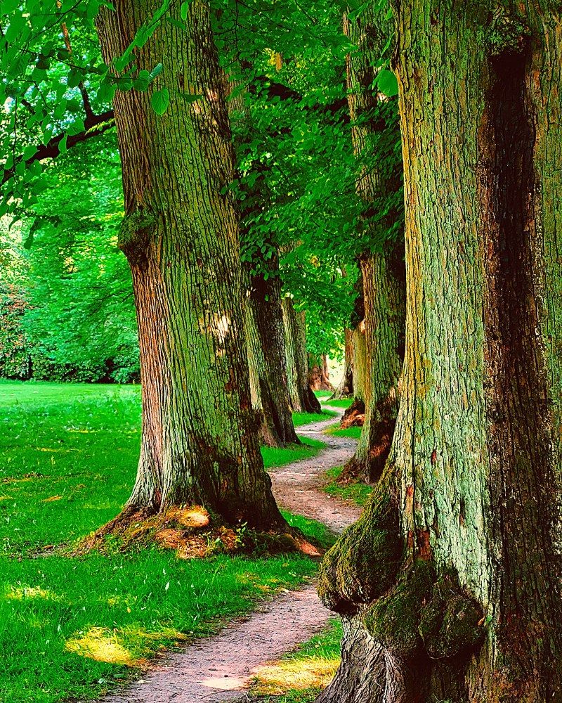 Фотография автора Cozma Mihaela