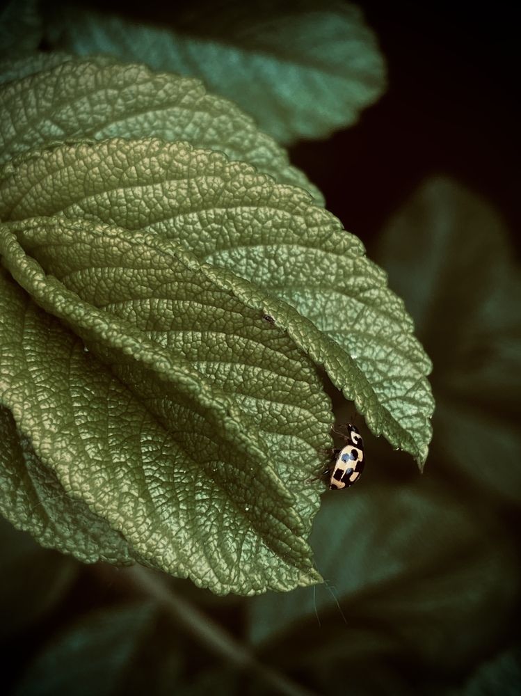 Photograph by Анна Зернова