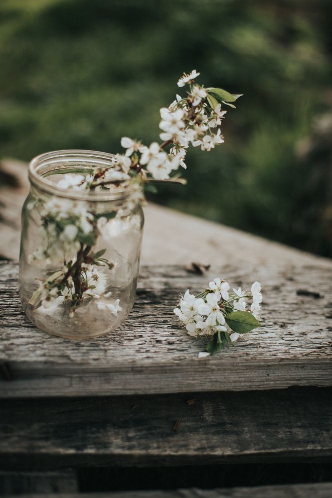 Photograph by Ирина Дьяченко