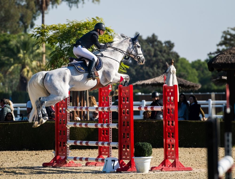 Photograph by Francisco José López Fernández