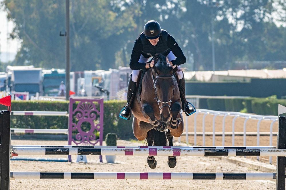 Photograph by Francisco José López Fernández