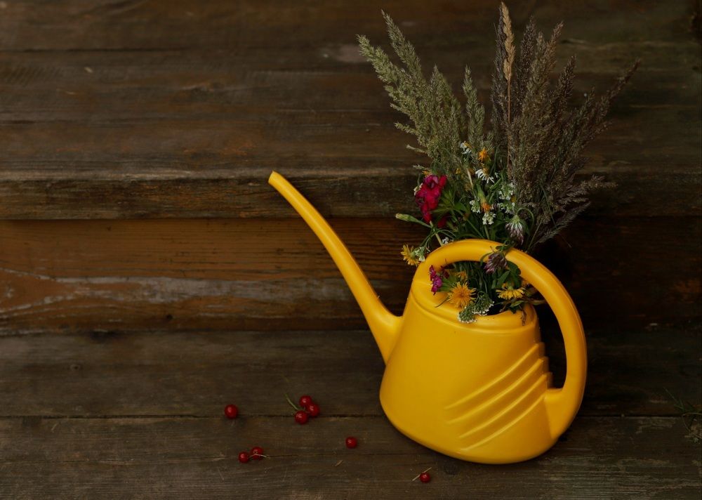 Photograph by Ирина Савина