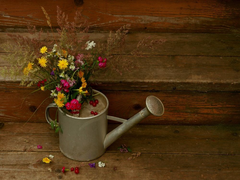 Photograph by Ирина Савина