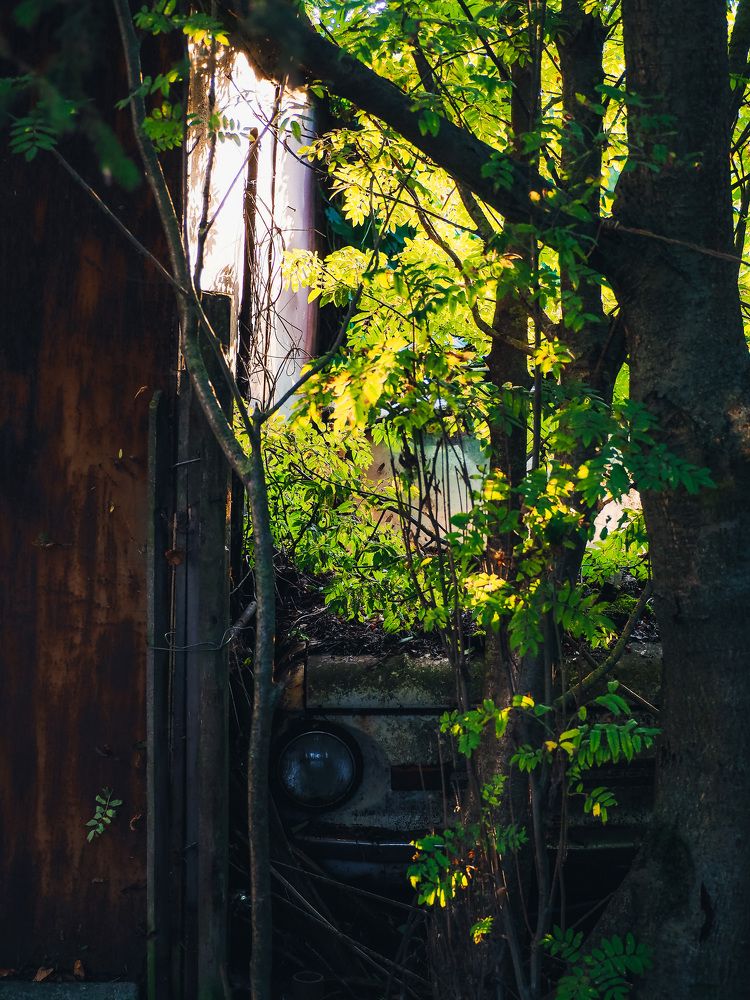 Photograph by Никита Ермаков