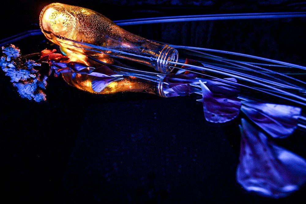 Photograph by Катя Филиппова