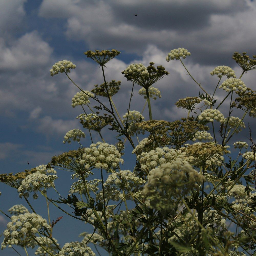 Photograph by Татьяна Сюсина