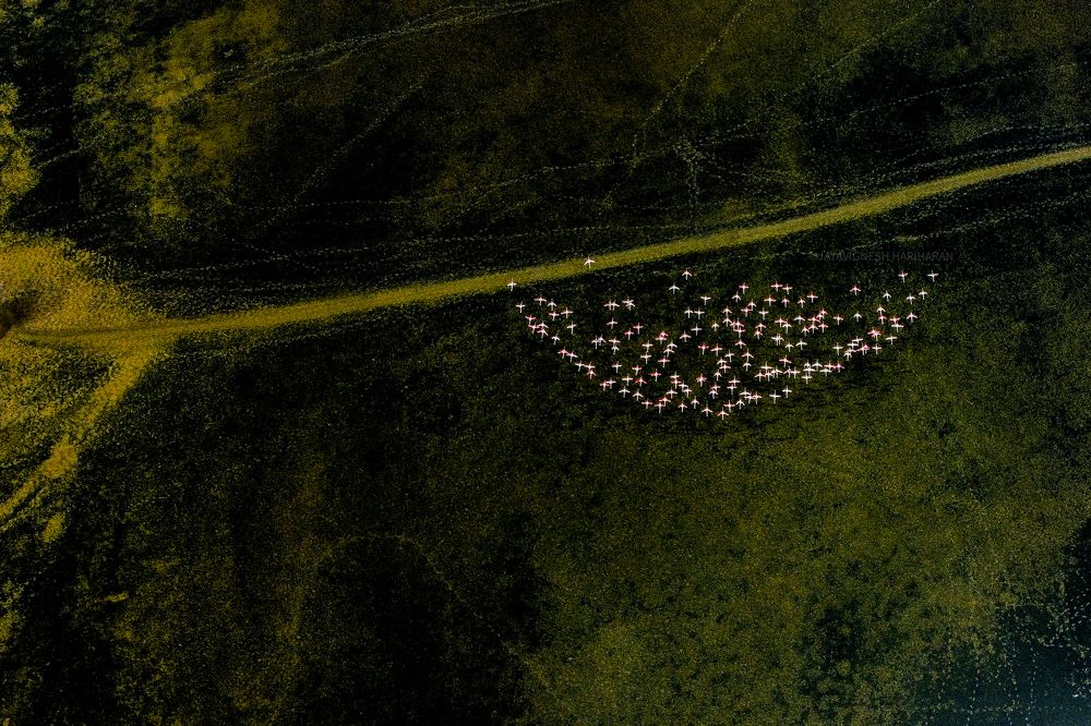 Photograph by Jayavignesh Hariharan