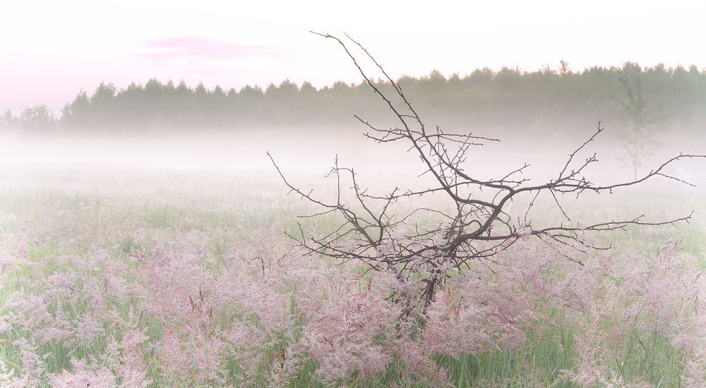 Photograph by Alexandr Kurylev