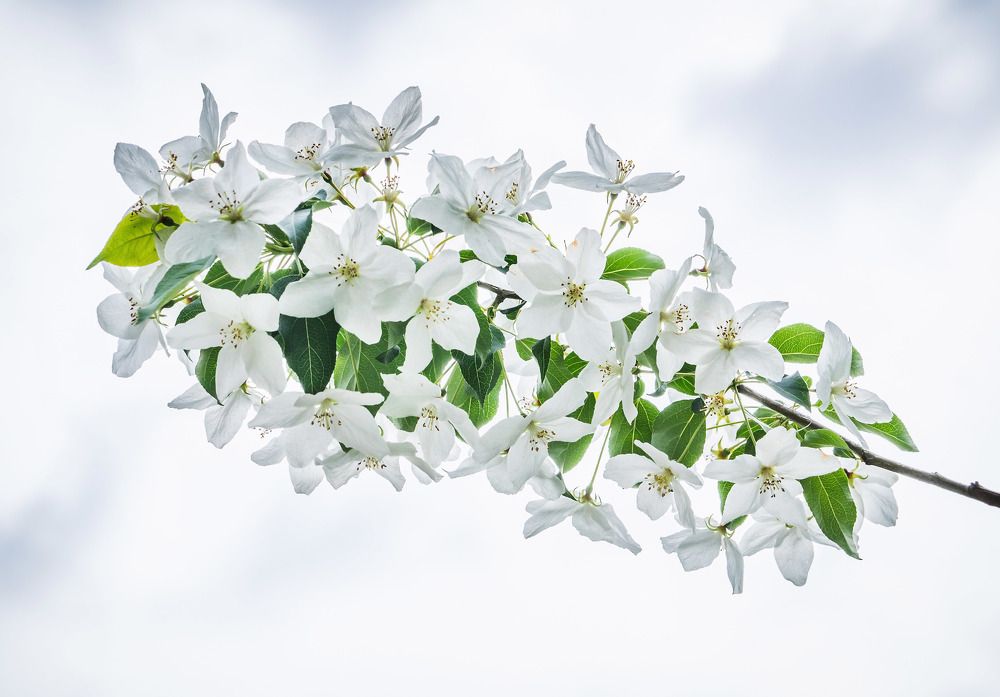 Photograph by Виктор Петров