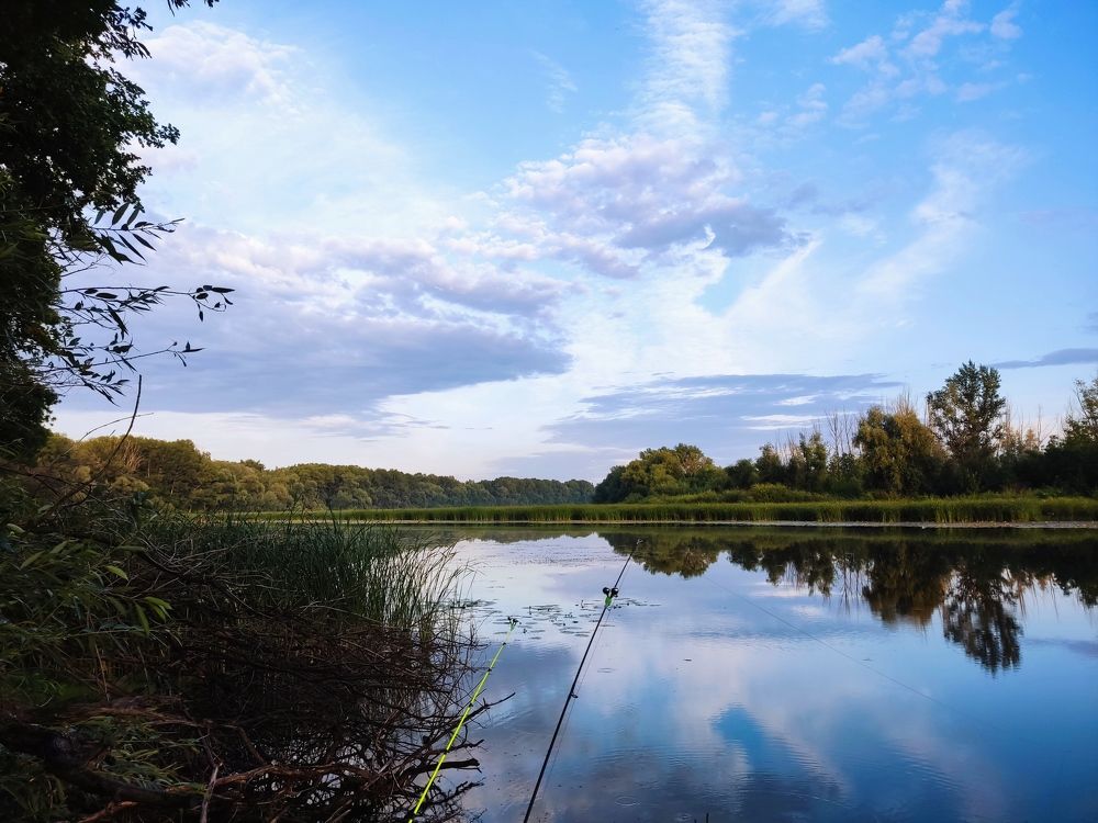 Photograph by Алексей