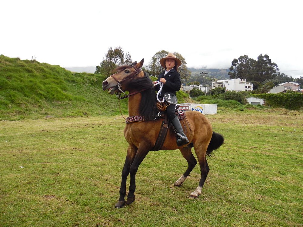 Photograph by Mario Alfonso Gudiño Dávila