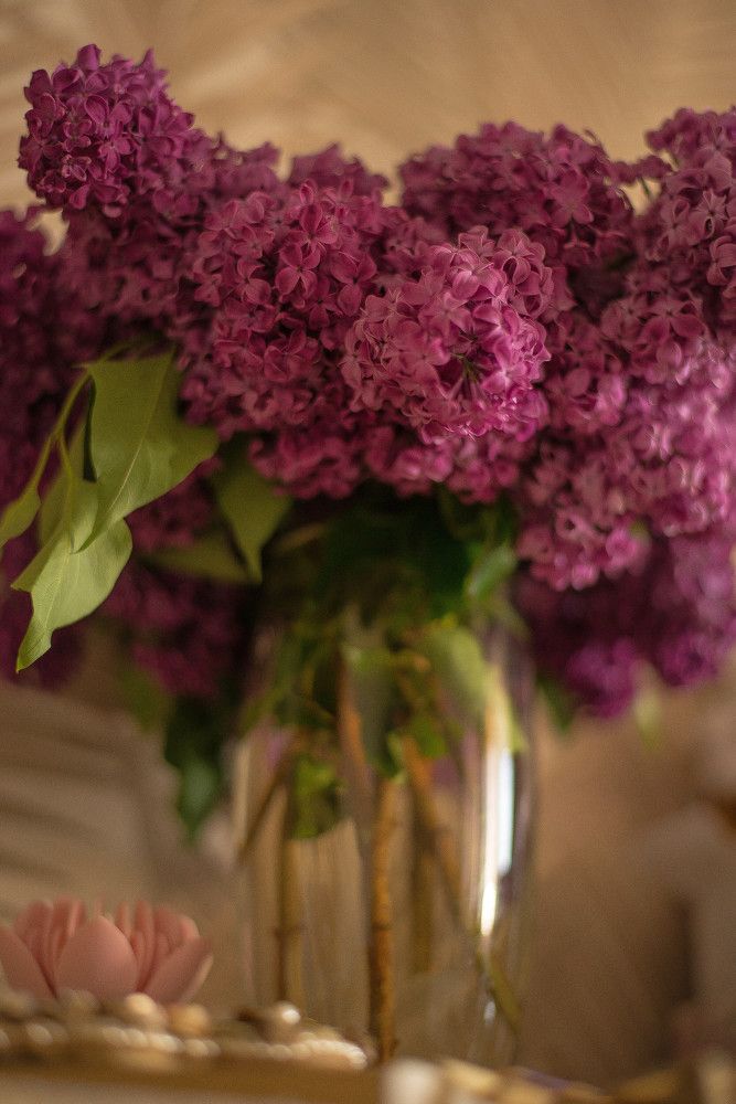 Photograph by Екатерина Фомина