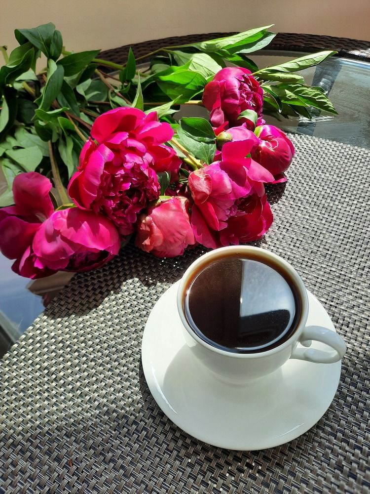 Photograph by Ириша Гайдель