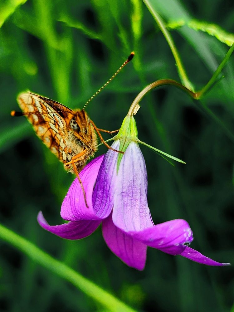 Photograph by Фролова Светлана