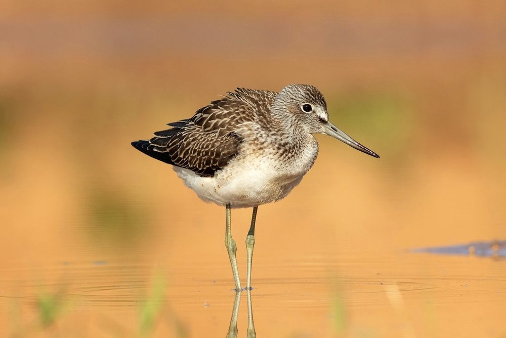 Photograph by Павел Краснослободцев