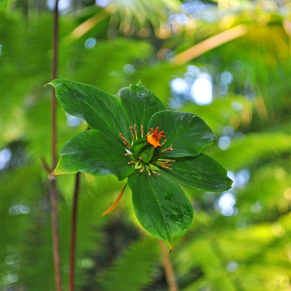 Photograph by Алексей