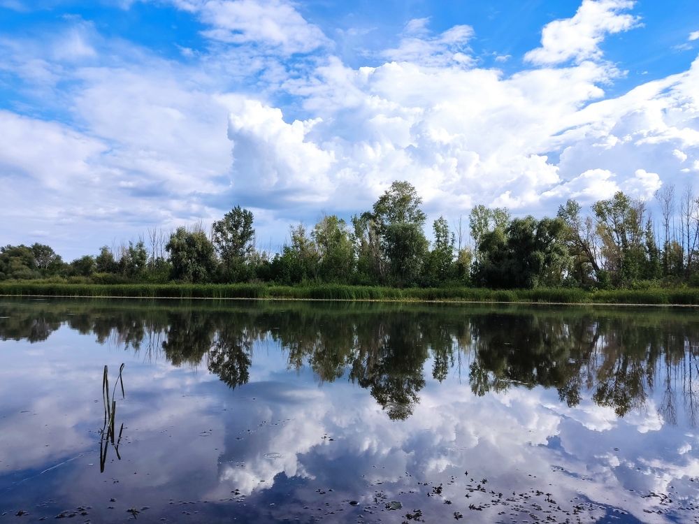 Photograph by Алексей