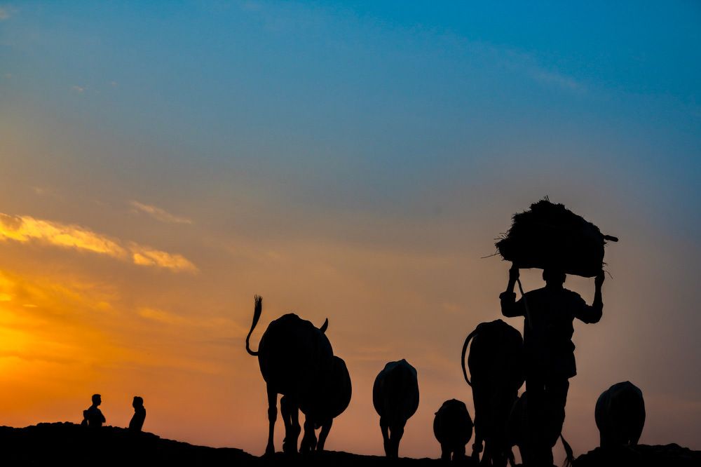 Photograph by Nitin Baste