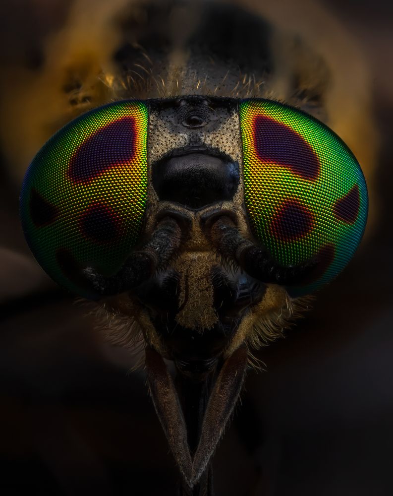 Photograph by Глеб Коровко