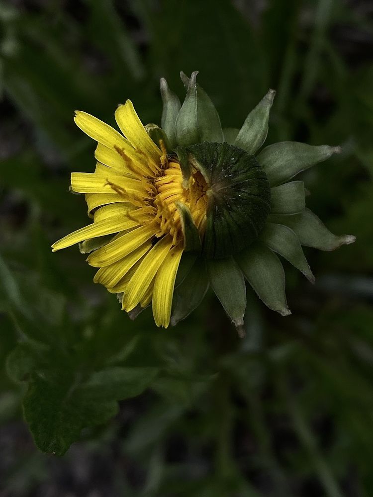 Photograph by Евгения Казакова