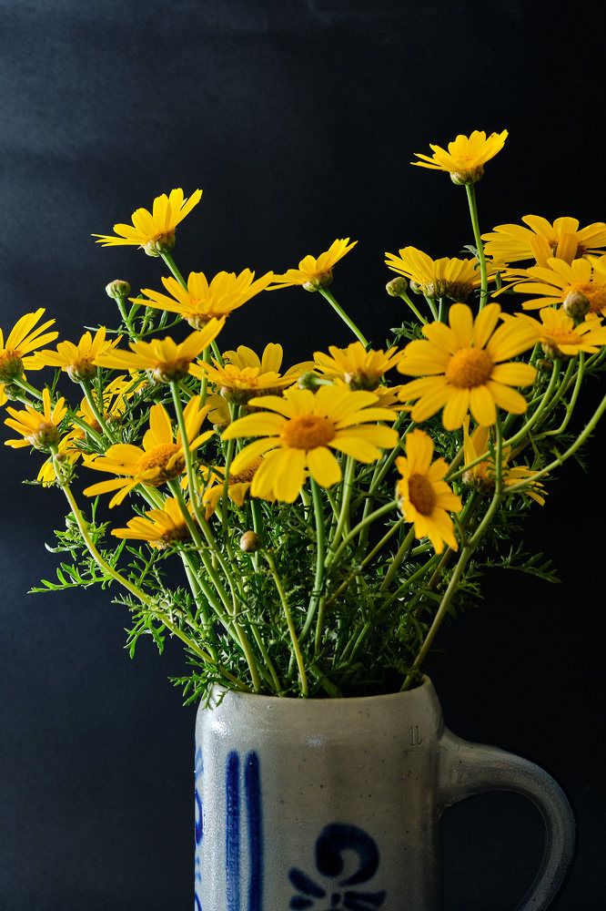 Фотография автора Ron Niv