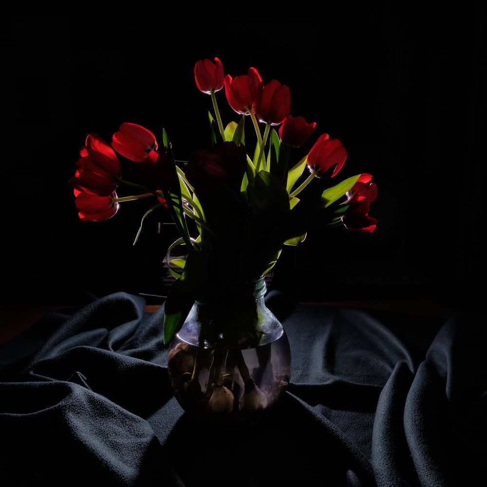 Фотография автора Ron Niv