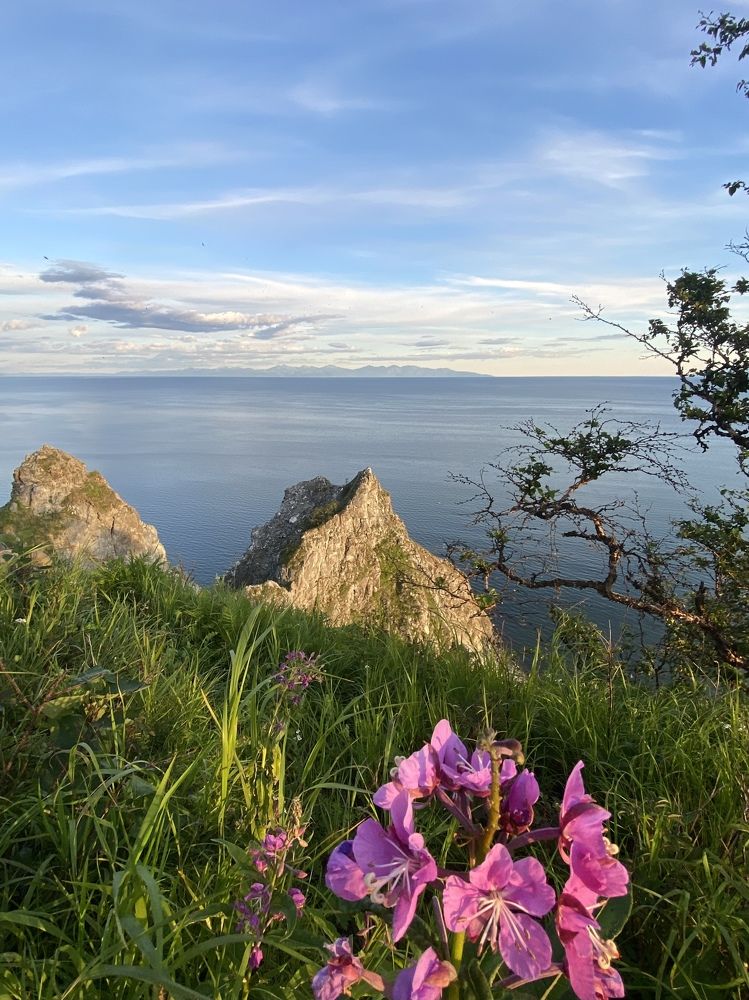 Photograph by Евгения Казакова