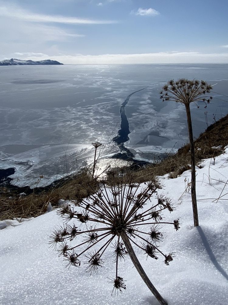 Photograph by Евгения Казакова