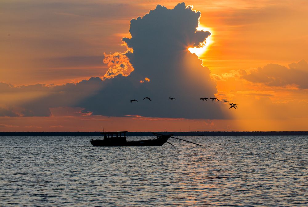 Photograph by Hưng Nguyễn Hải