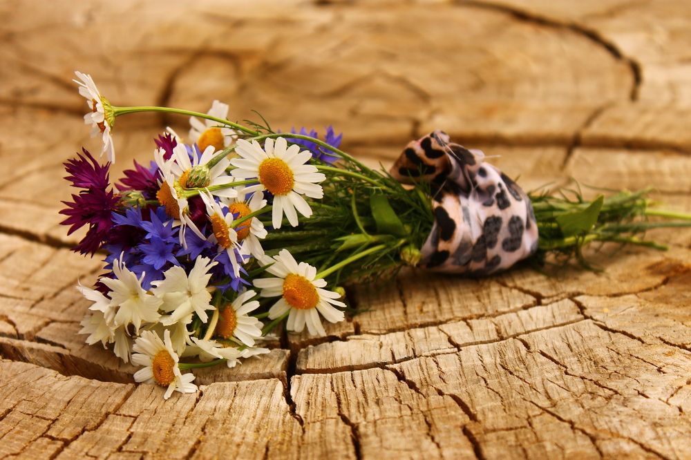 Photograph by Евгения