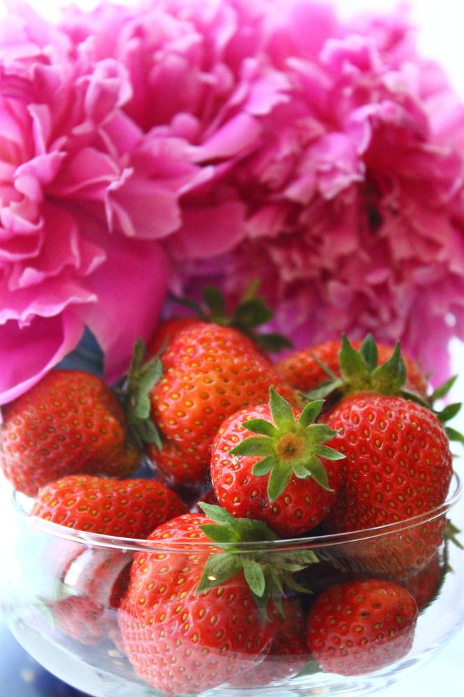 Photograph by Евгения