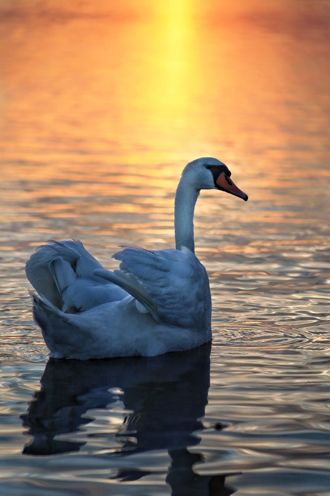 Photograph by Катерина Коханова