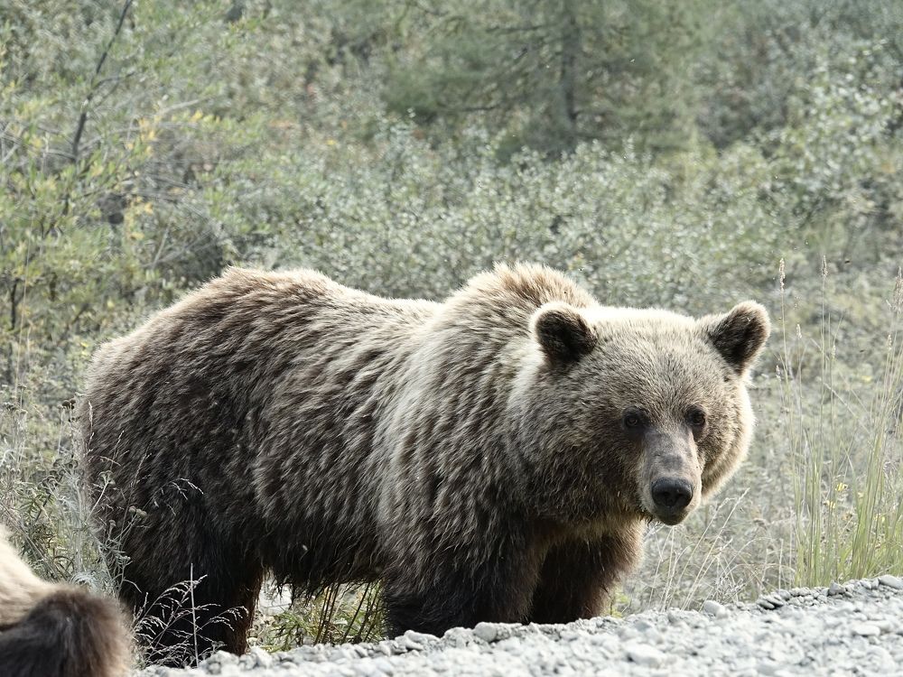 Photograph by Евгения Казакова